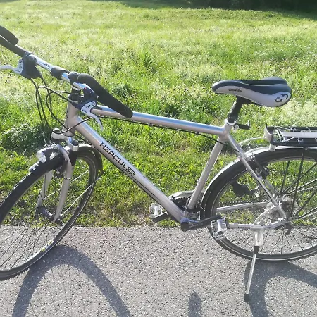 Apartamento Black Forest Bollenhut Deluxe *