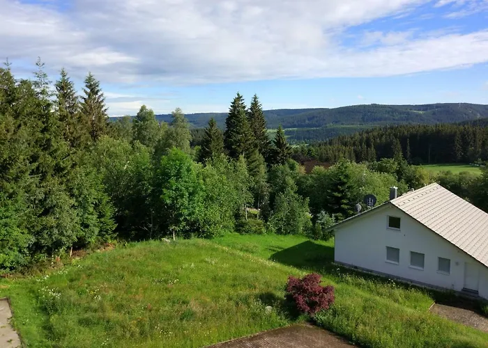 Black Forest Bollenhut Deluxe アパート レンツキルヒ